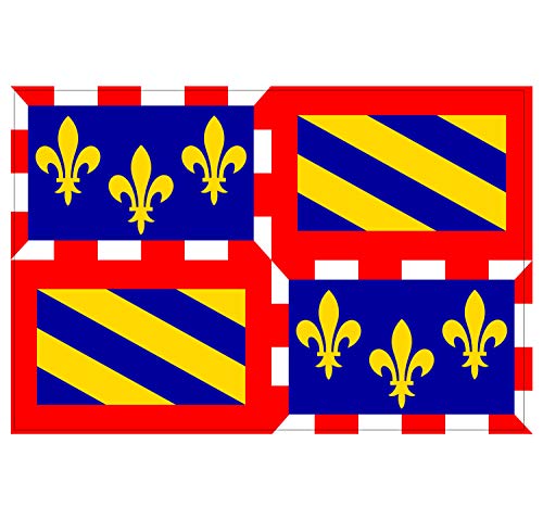 Supstick Lot de 8 Autocollants Stickers Drapeau de département région française Bourgogne Format 3x2cm