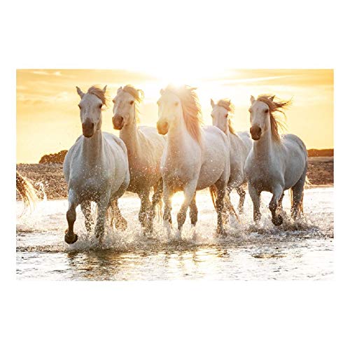 Panorama Alu 60x90cm - Tableau Décoration Murale - Accroche Facile - Photo Image Artistique Photographie