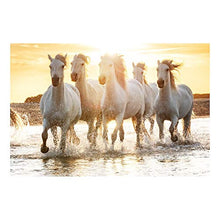 Panorama Alu 60x90cm - Tableau Décoration Murale - Accroche Facile - Photo Image Artistique Photographie