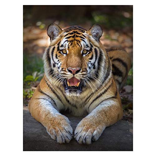 Panorama Alu 80x80cm - Tableau Décoration Murale - Accroche Facile - Photo Image Artistique Photographie