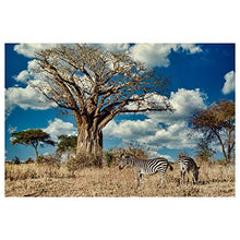 Panorama Alu 60x40cm - Tableau Décoration Murale - Accroche Facile - Photo Image Artistique Photographie