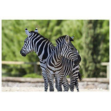 Panorama Alu 60x90cm - Tableau Décoration Murale - Accroche Facile - Photo Image Artistique Photographie