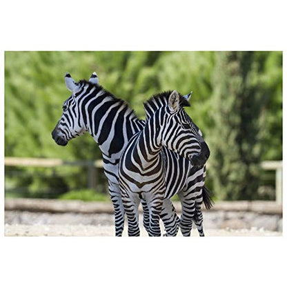 Panorama Alu 60x90cm - Tableau Décoration Murale - Accroche Facile - Photo Image Artistique Photographie