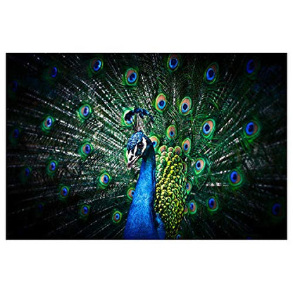 Panorama Alu 60x90cm - Tableau Décoration Murale - Accroche Facile - Photo Image Artistique Photographie