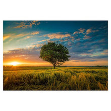 Panorama Alu 60x40cm - Tableau Décoration Murale - Accroche Facile - Photo Image Artistique Photographie