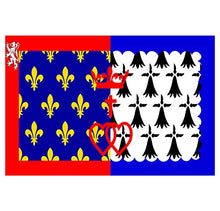 Supstick Autocollant Stickers Drapeau de Pays département région française de la Loire Format 15x10cm