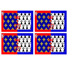 Supstick Lot de 4 Autocollants Stickers Drapeau de département région française Pays de la Loire Format 12x8cm