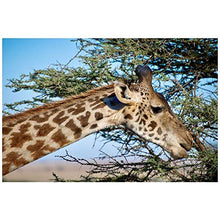 Panorama Alu 60x40cm - Tableau Décoration Murale - Accroche Facile - Photo Image Artistique Photographie