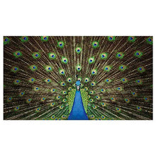 Panorama Alu 60x40cm - Tableau Décoration Murale - Accroche Facile - Photo Image Artistique Photographie