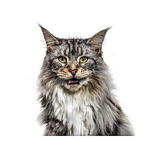 Panorama Alu 40x40cm - Tableau Décoration Murale - Accroche Facile - Photo Image Artistique Photographie