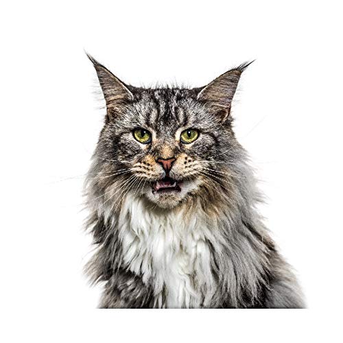 Panorama Alu 80x80cm - Tableau Décoration Murale - Accroche Facile - Photo Image Artistique Photographie