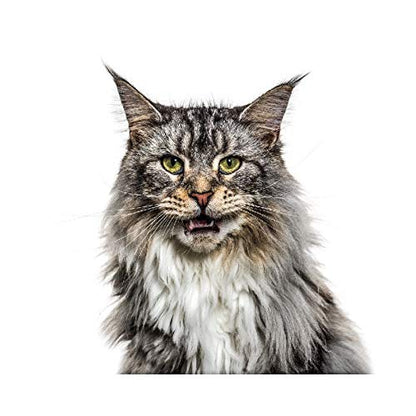 Panorama Alu 80x80cm - Tableau Décoration Murale - Accroche Facile - Photo Image Artistique Photographie