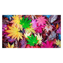 Panorama Alu 60x90cm - Tableau Décoration Murale - Accroche Facile - Photo Image Artistique Photographie