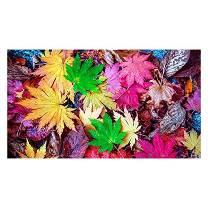 Panorama Alu 60x90cm - Tableau Décoration Murale - Accroche Facile - Photo Image Artistique Photographie