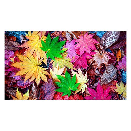 Panorama Alu 60x90cm - Tableau Décoration Murale - Accroche Facile - Photo Image Artistique Photographie