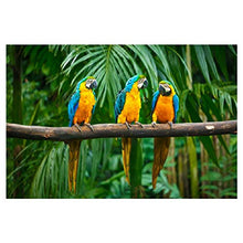 Panorama Alu 60x40cm - Tableau Décoration Murale - Accroche Facile - Photo Image Artistique Photographie