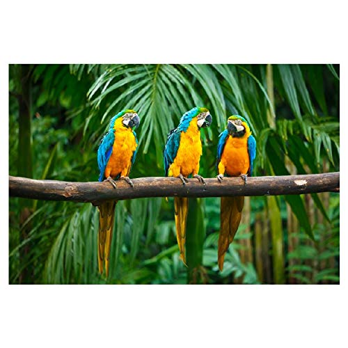 Panorama Alu 60x40cm - Tableau Décoration Murale - Accroche Facile - Photo Image Artistique Photographie