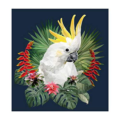 Panorama Alu 80x80cm - Tableau Décoration Murale - Accroche Facile - Photo Image Artistique Photographie