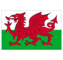 Panneau Rigide Format 18x12cm Drapeau de Pays Nation Pays de Galles épaisseur 3mm