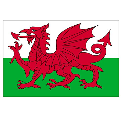 Panneau Rigide Format 18x12cm Drapeau de Pays Nation Pays de Galles épaisseur 3mm