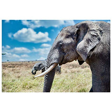 Panorama Alu 60x90cm - Tableau Décoration Murale - Accroche Facile - Photo Image Artistique Photographie