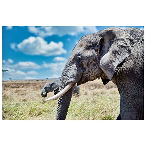 Panorama Alu 60x90cm - Tableau Décoration Murale - Accroche Facile - Photo Image Artistique Photographie