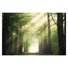 Panorama Alu 60x40cm - Tableau Décoration Murale - Accroche Facile - Photo Image Artistique Photographie