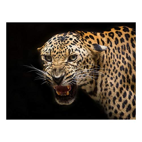 Panorama Alu 60x40cm - Tableau Décoration Murale - Accroche Facile - Photo Image Artistique Photographie