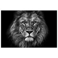 Panorama Alu 60x90cm - Tableau Décoration Murale - Accroche Facile - Photo Image Artistique Photographie