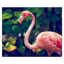 Panorama Alu 60x40cm - Tableau Décoration Murale - Accroche Facile - Photo Image Artistique Photographie