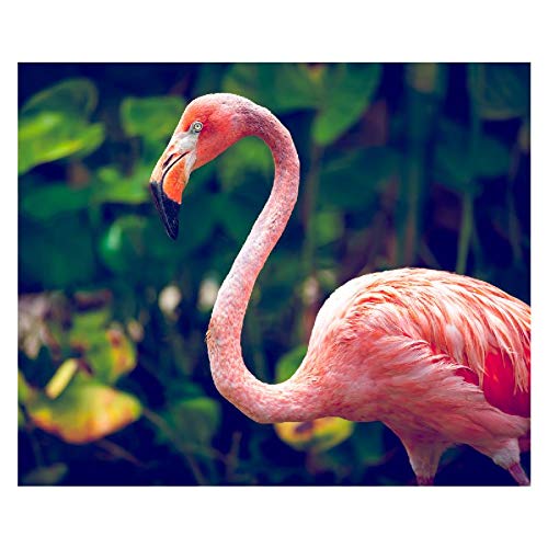 Panorama Alu 60x40cm - Tableau Décoration Murale - Accroche Facile - Photo Image Artistique Photographie