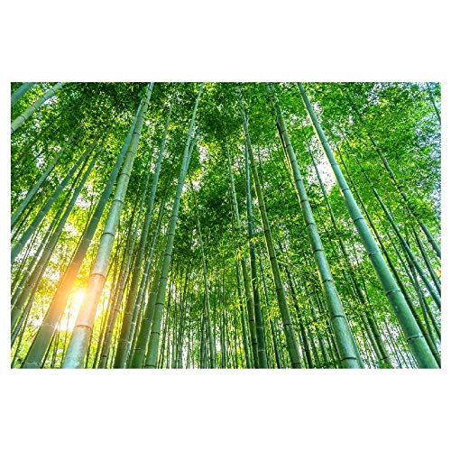 Panorama Alu 60x40cm - Tableau Décoration Murale - Accroche Facile - Photo Image Artistique Photographie