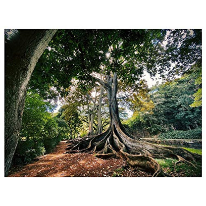 Panorama Alu 60x90cm - Tableau Décoration Murale - Accroche Facile - Photo Image Artistique Photographie