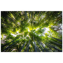 Panorama Alu 60x90cm - Tableau Décoration Murale - Accroche Facile - Photo Image Artistique Photographie