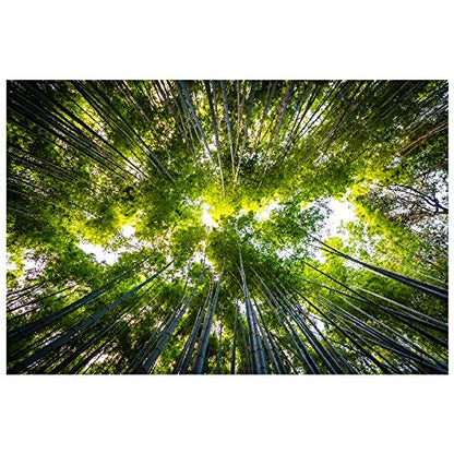 Panorama Alu 60x90cm - Tableau Décoration Murale - Accroche Facile - Photo Image Artistique Photographie