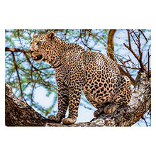 Panorama Alu 60x40cm - Tableau Décoration Murale - Accroche Facile - Photo Image Artistique Photographie